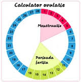 Ovulatia si calculul ovulatiei
