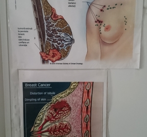 Cabinet de consultatie si investigatii obstetrica ginecologie Dr.Victoria Tudosa.