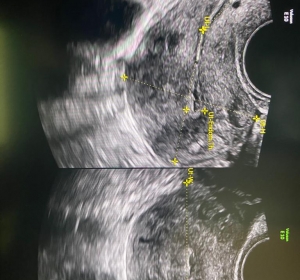 Cabinet Obstetrica - Ginecologie Dr. Tamara Sava - Targu Neamt