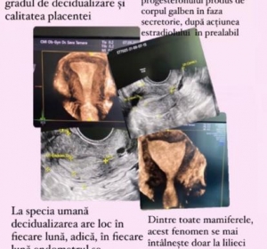 Cabinet Obstetrica - Ginecologie Dr. Tamara Sava - Targu Neamt