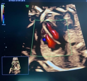 Cabinet Obstetrica - Ginecologie Dr. Tamara Sava
